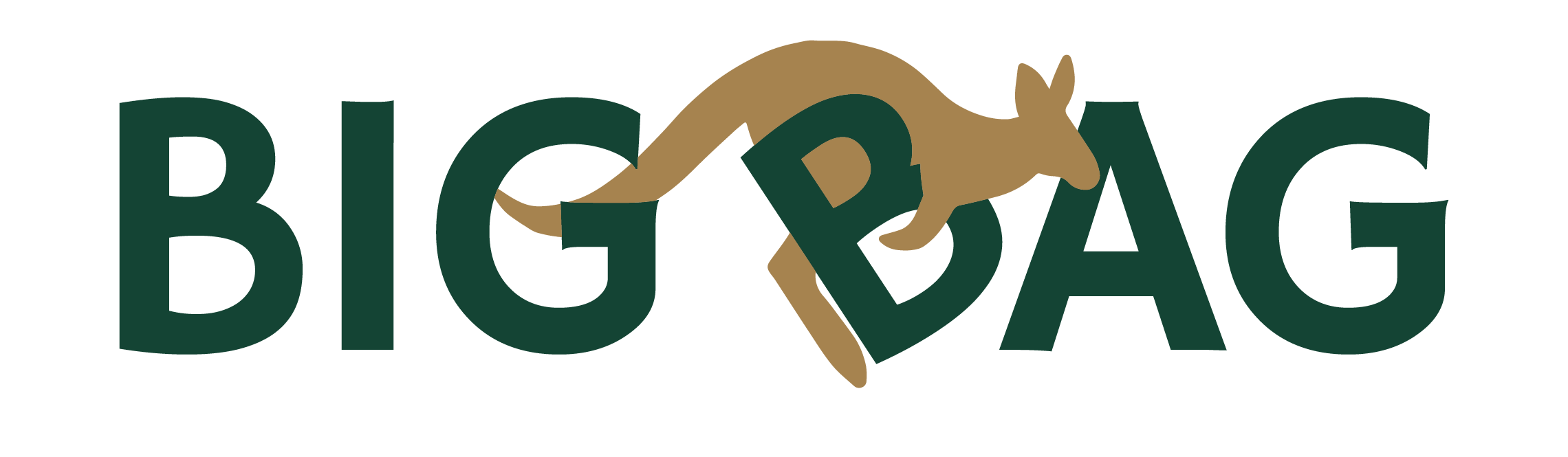 Big Bag Coffee Logo Checkt out