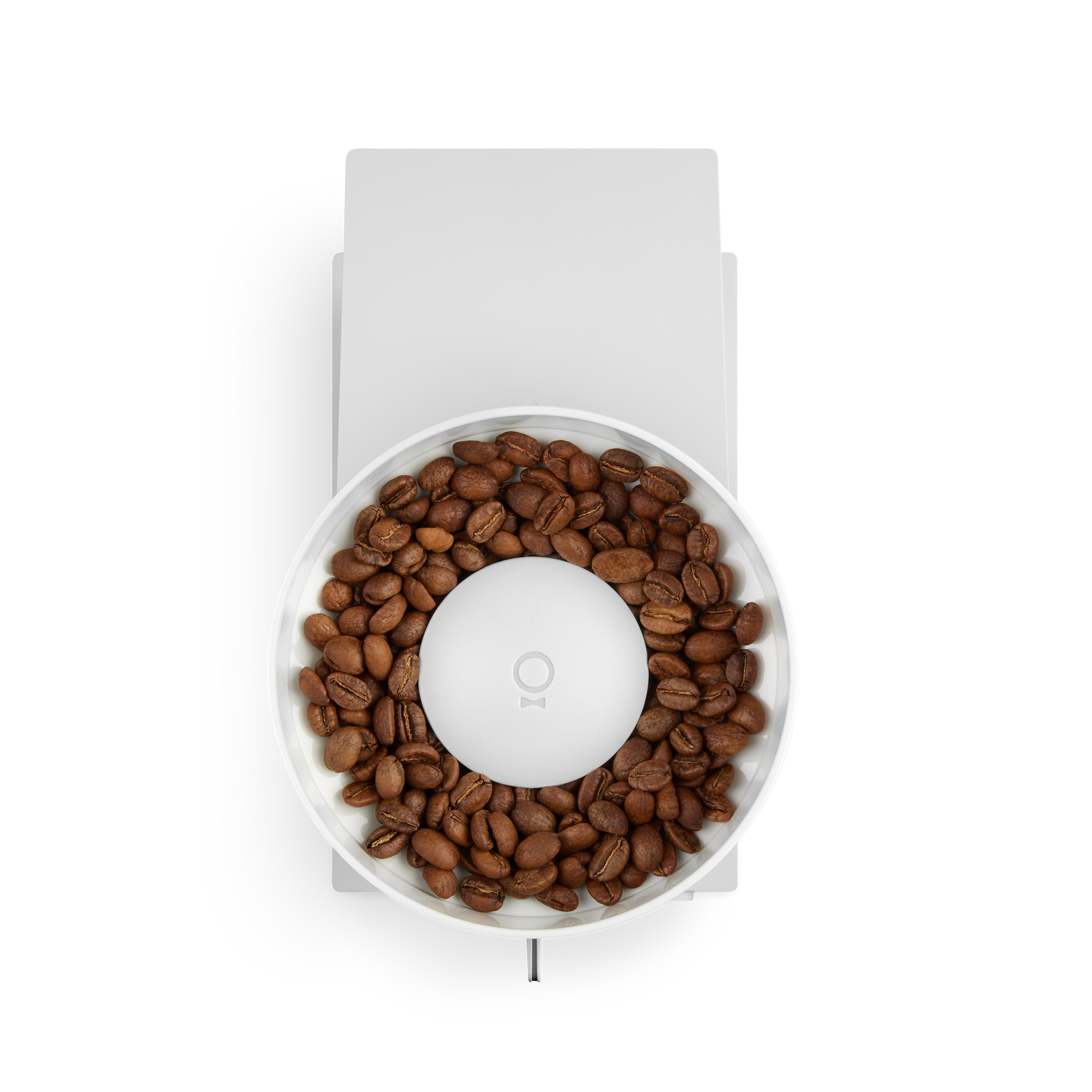 Fellow Opus Allzweckmühle | Elektrische Kaffeemühle | matt weiß - Coffee Annan