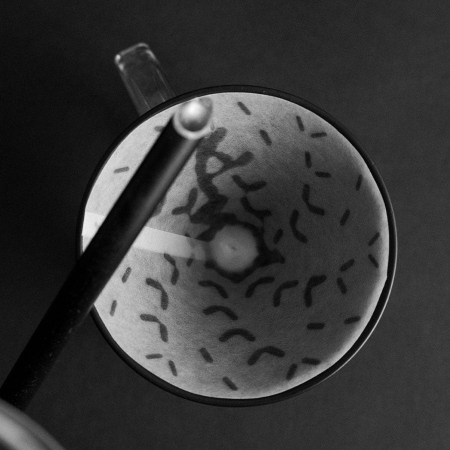 Graycano Dripper + Sleeve - Volcano (Standard) - Big Bag Coffee