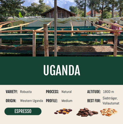 Uganda Espresso natural Coffee