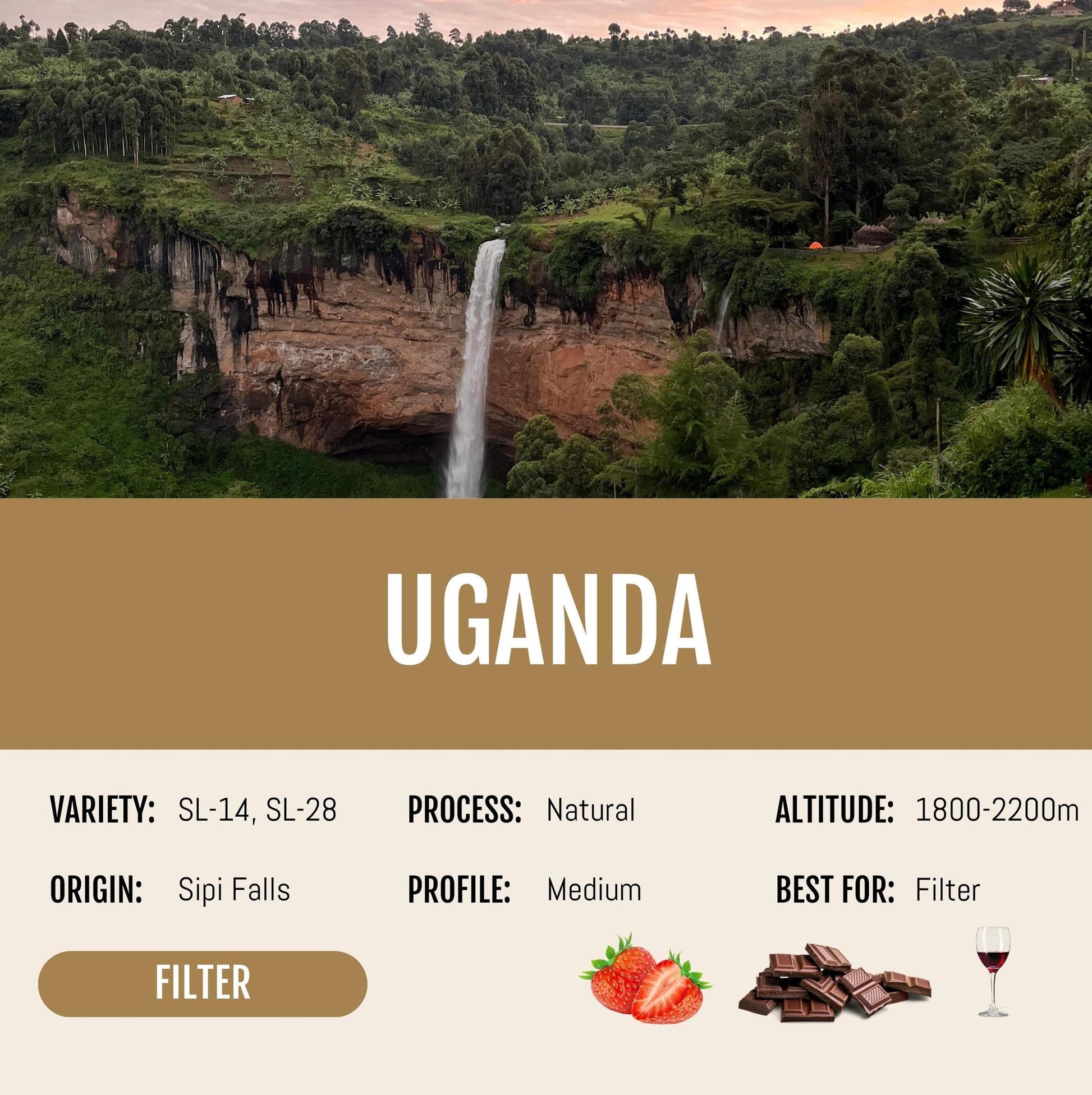 Coffee Uganda Sip Falls